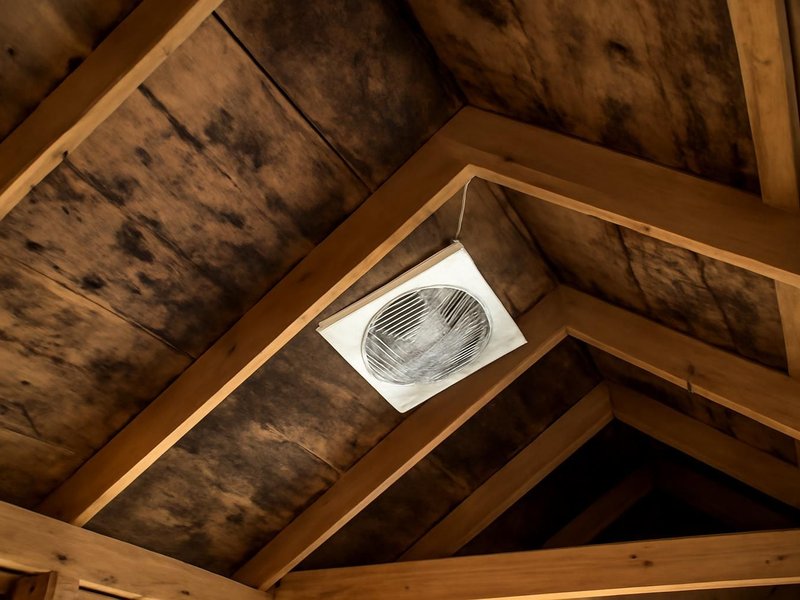 AI concept: Existing condition: attic roof sheathing dark with mold from a bath fan venting inside