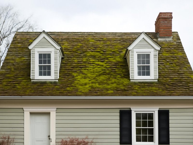 Before: moss-covered roof on a Cape Cod with dormers