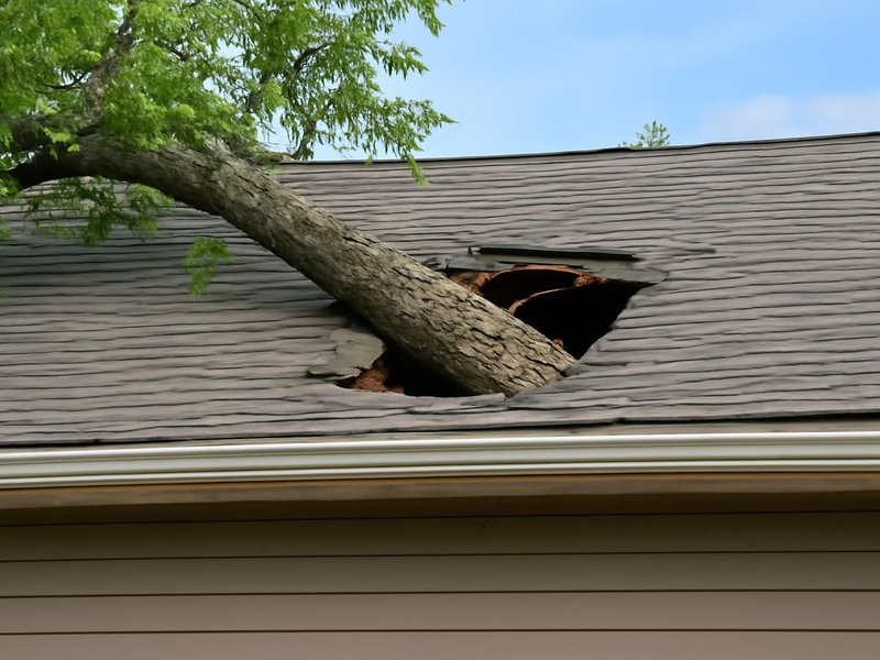 AI concept: Tree limb through the roof